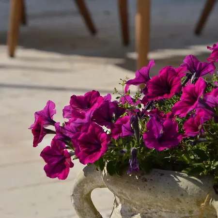 La Corticella Bed and breakfast Martina Franca