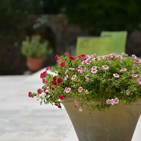 فندق مبيت وإفطار La Corticella مارتينا فرانكا